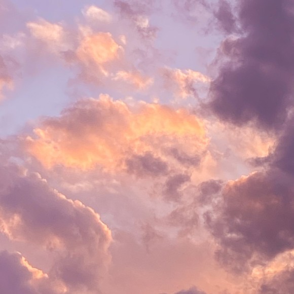 Meet your Posher, Natalie - Picture 1 of 1